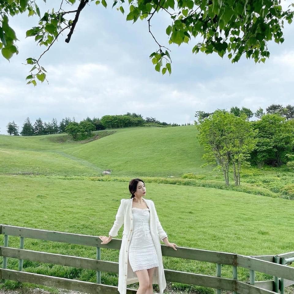 (GANGWON-DO) Mùa hè xanh mướt tại nông trại cừu Daegwallyeong