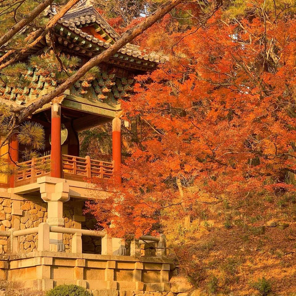 불국사 Chùa Quốc Phật Tự Cố đô Gyeongju