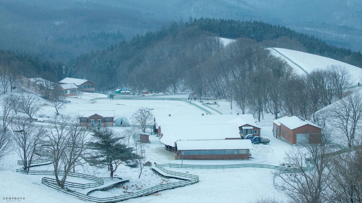 Phong cảnh Gyeonggi-do vào mùa tuyết rơi
