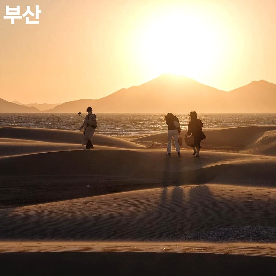 Khám phá Sa Mạc nằm trong lòng Busan