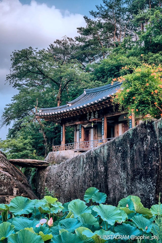 Ngắm nhìn hồ sen yên bình với hoa đăng tiêu tại Mungyeong