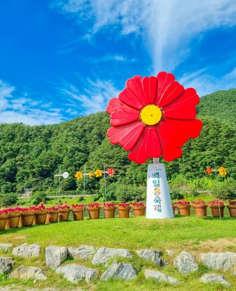 Chiêm ngưỡng lễ hội hoa tuyệt đẹp ở Pyeongchang