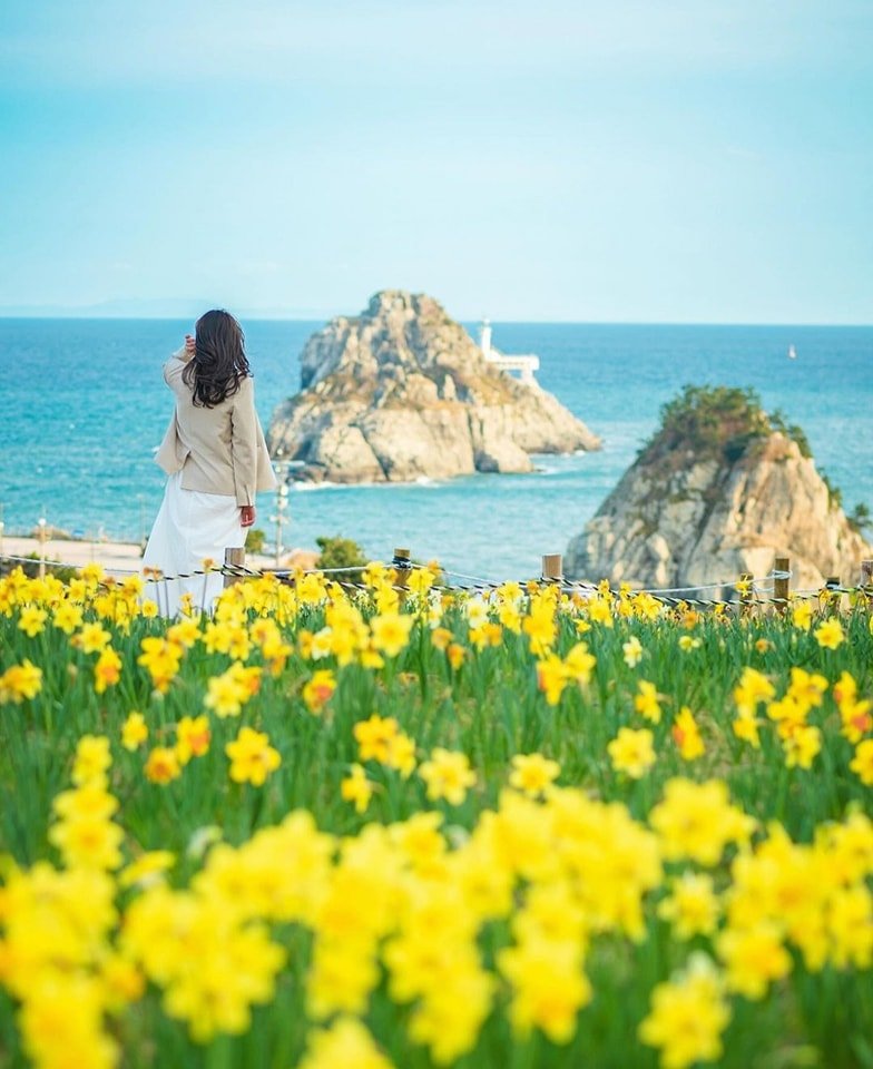 Ngắm hoa và biển mùa xuân ở Busan