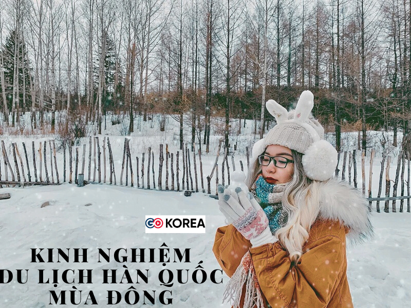 Kinh nghiệm du lịch Hàn Quốc mùa đông