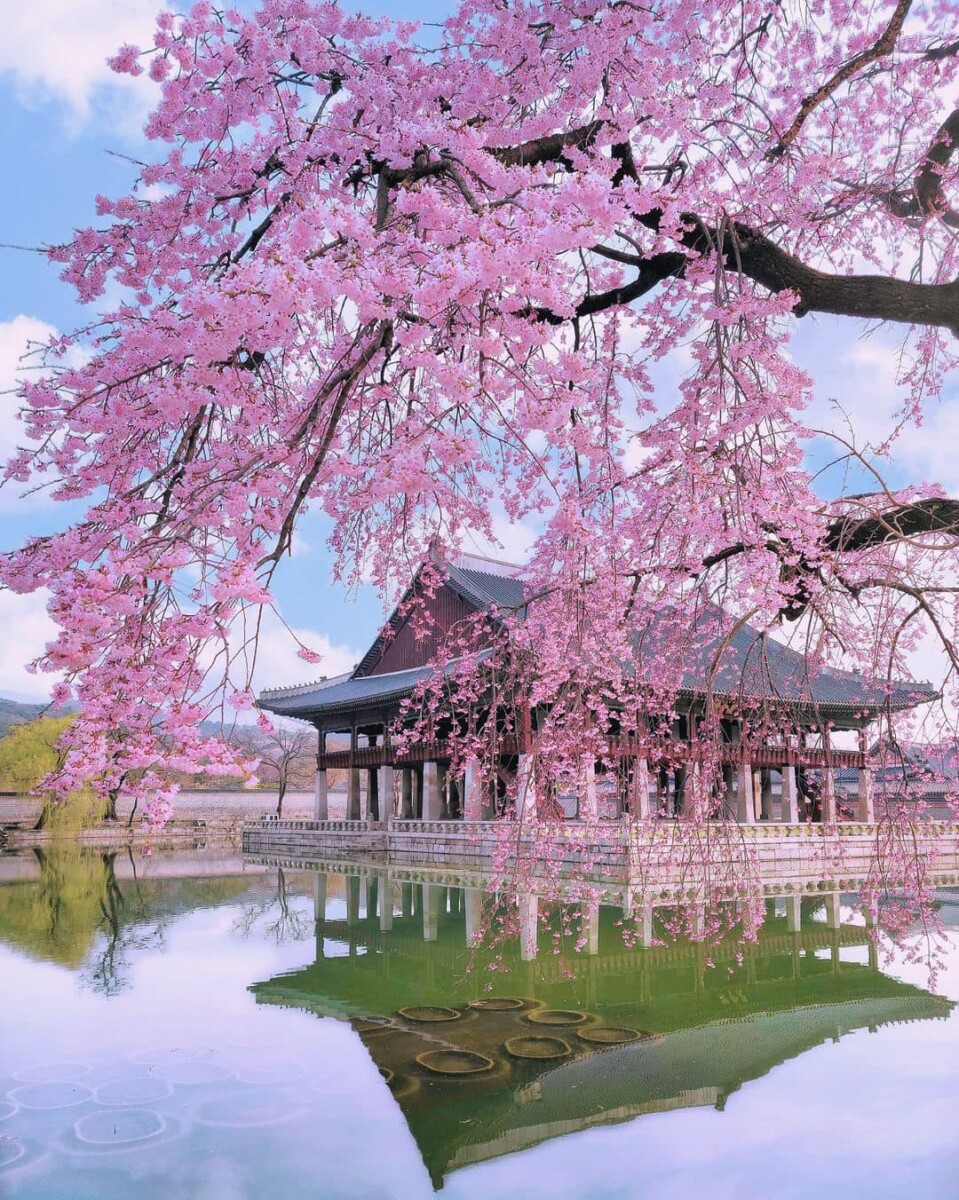 Cung điện Gyeongbokgung – Cảnh Phúc Cung – Hàn Quốc